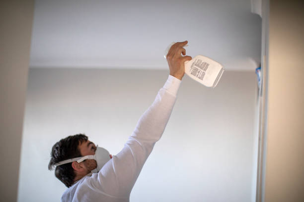 Best Attic Mold Remediation in Noel, MO