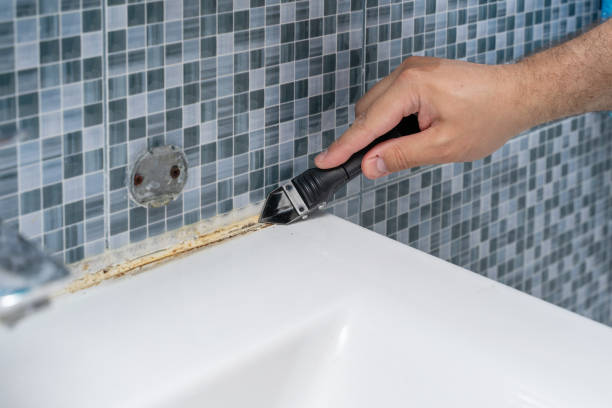Best Emergency Mold Remediation in Noel, MO